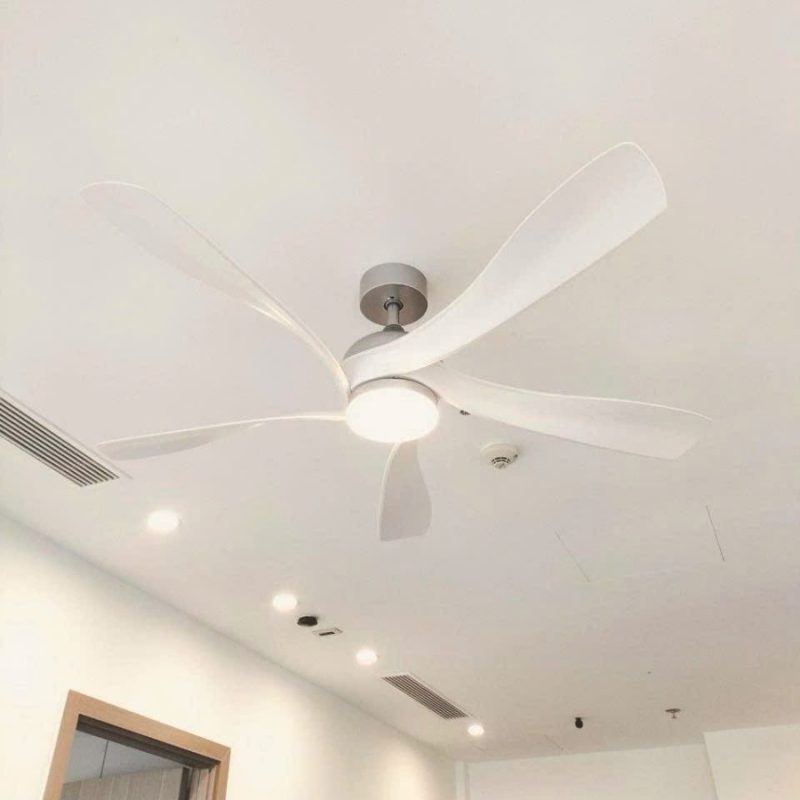 Quạt trần đèn RQT-087