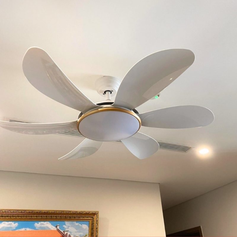 Quạt Trần Đèn 6 Cánh Nhựa RQT-219
