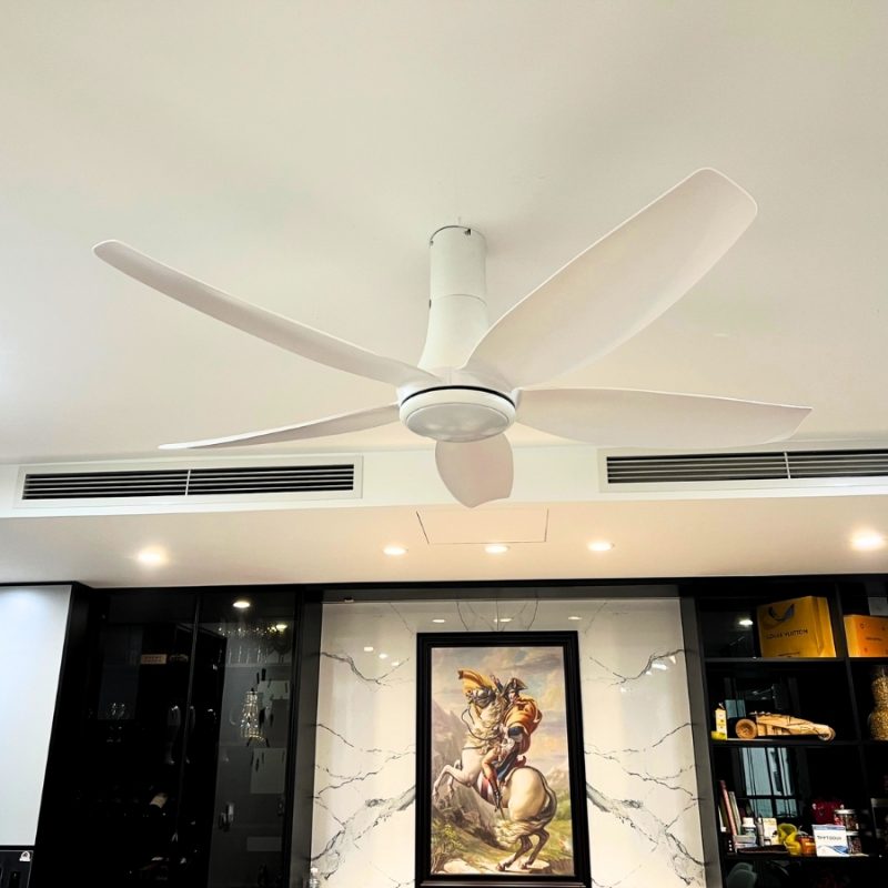 Quạt trần đèn 5 cánh màu trắng RQT - 301