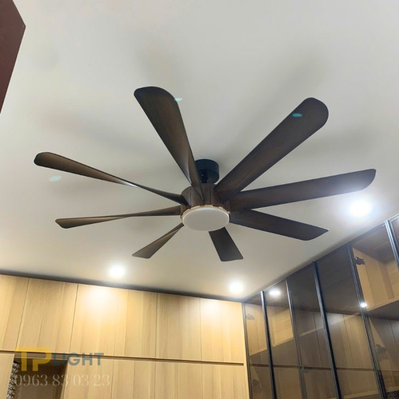 Quạt trần 8 cánh có đèn thương hiệu Thái QT-559