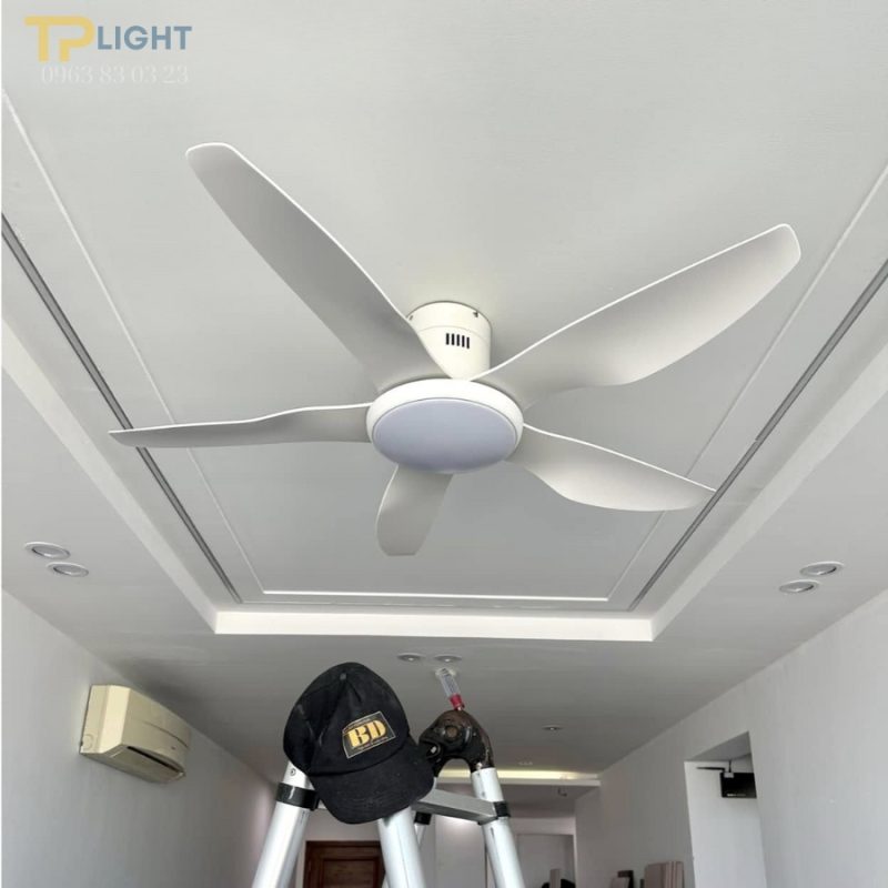 Quạt trần đèn thương hiệu Homesick QT-8016WH